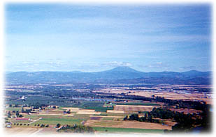 phoenixarea.jpg (14515 bytes)